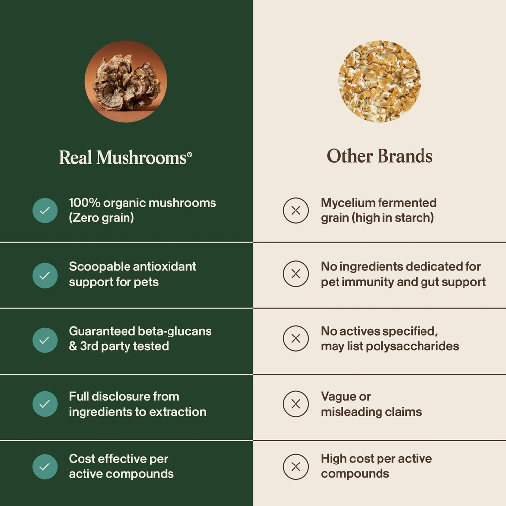 real-mushrooms-turkey-tail-with-qrill-pe-6.jpg