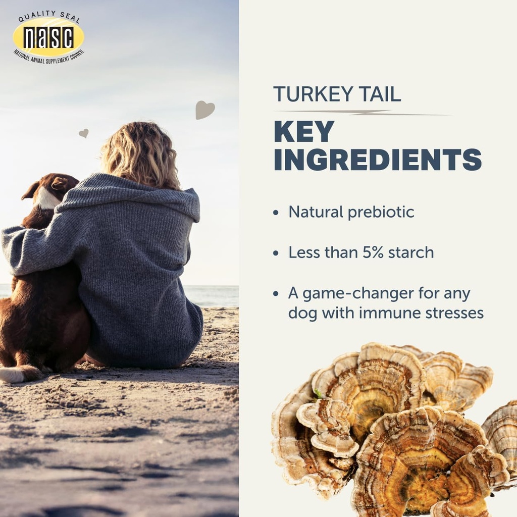 four-leaf-rover-turkey-tail-mushroom-for-4.jpg