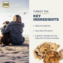 four-leaf-rover-turkey-tail-mushroom-for-4.jpg