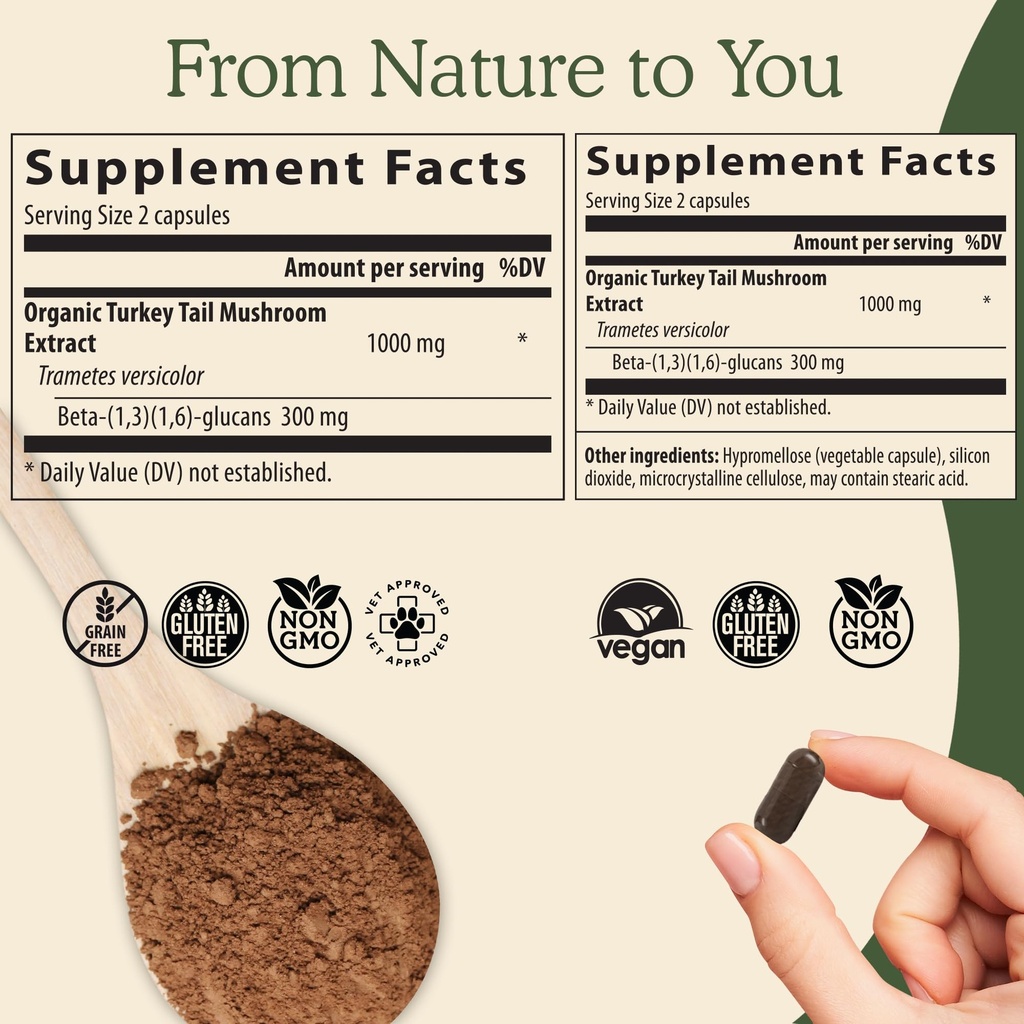 reishi-415-longevity-capsules-90ct-turke-5.jpg