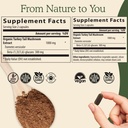 reishi-415-longevity-capsules-90ct-turke-5.jpg