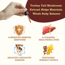 turkey-tail-mushroom-drops-for-dogs-cats-5.jpg