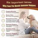 turkey-tail-mushroom-drops-for-dogs-cats-6.jpg