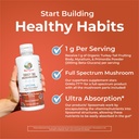 turkey-tail-mushroom-supplement-by-maryr-5.jpg