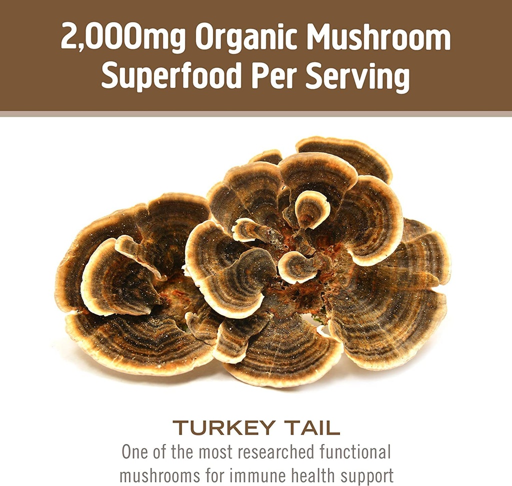 om-mushroom-superfood-turkey-tail-mushro-6.jpg