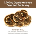 om-mushroom-superfood-turkey-tail-mushro-6.jpg