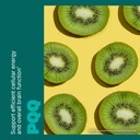 swisse-pqq-dha-brain-booster-supports-br-3.jpg