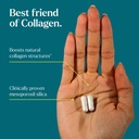 clinically-proven-mesoporosil-silica-bui-2.jpg