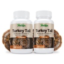 parker-naturals-turkey-tail-mushroom-cap-5.jpg