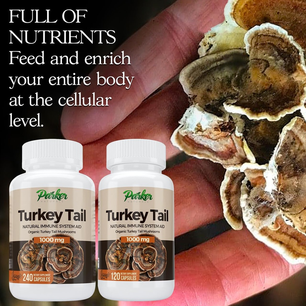 parker-naturals-turkey-tail-mushroom-cap-3.jpg