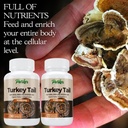 parker-naturals-turkey-tail-mushroom-cap-3.jpg