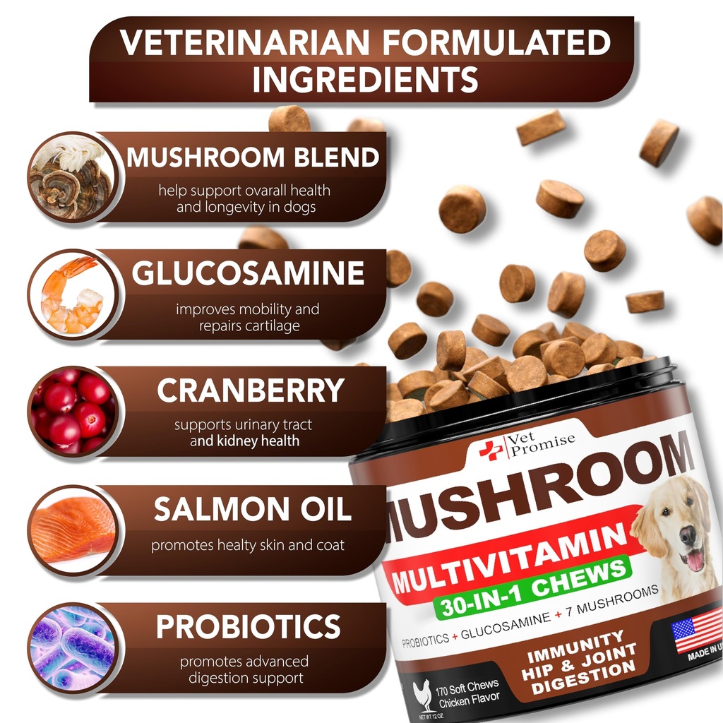 turkey-tail-mushroom-for-dogs-170-chews--2.jpg