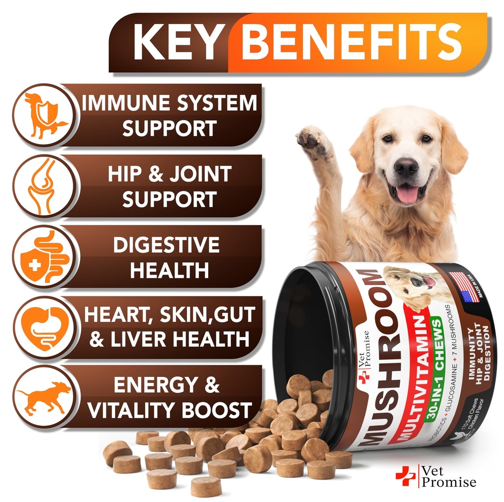 turkey-tail-mushroom-for-dogs-170-chews--3.jpg