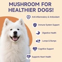 dog-ear-cleaner-solution-turkey-tail-mus-6.jpg