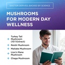 dr-emil-nutrition-mushroom-supplement-hi-3.jpg