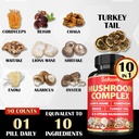 satoomi-90-capsules-10in1-turkey-tail-su-4.jpg