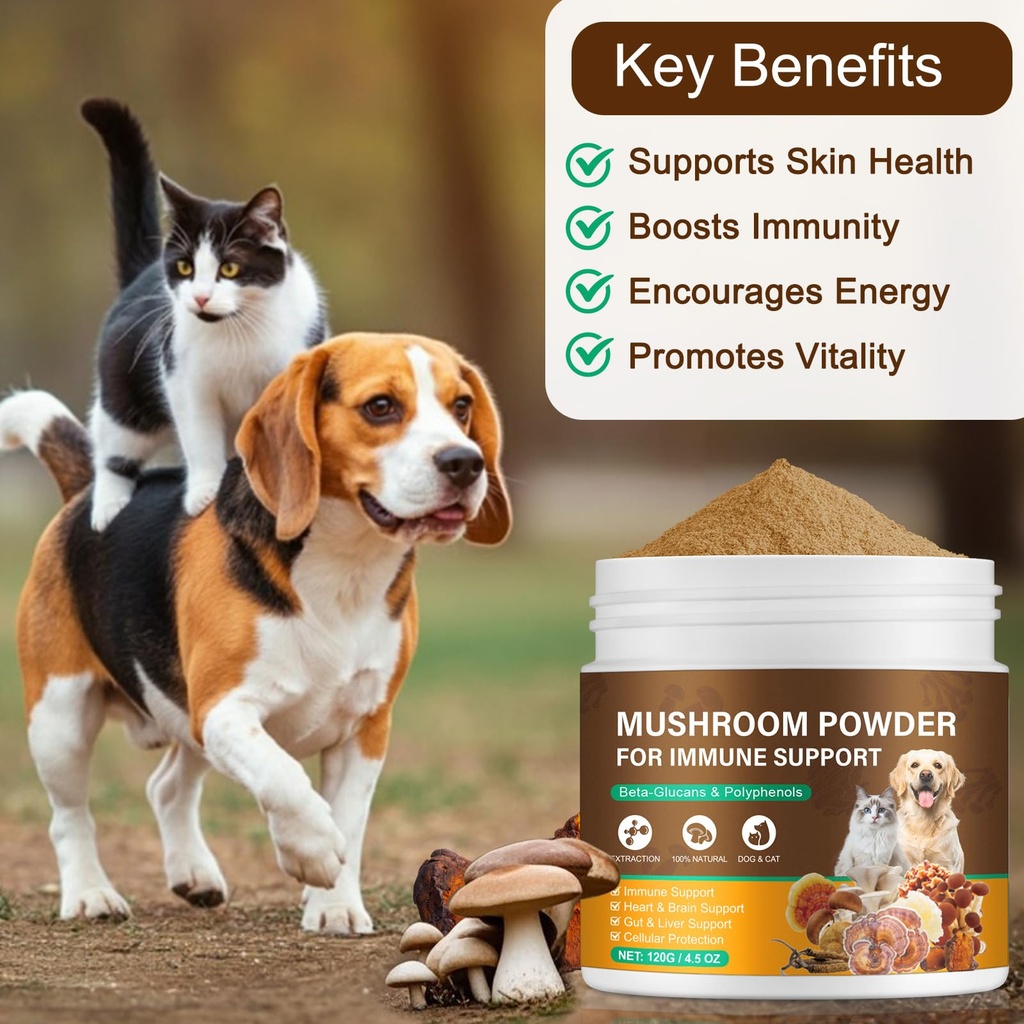 mushroom-supplement-for-dogs-cats-with-t-6.jpg
