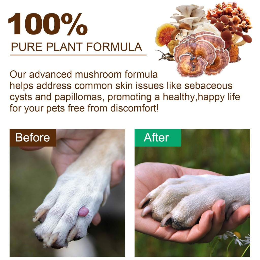 mushroom-supplement-for-dogs-cats-with-t-4.jpg