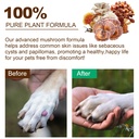 mushroom-supplement-for-dogs-cats-with-t-4.jpg