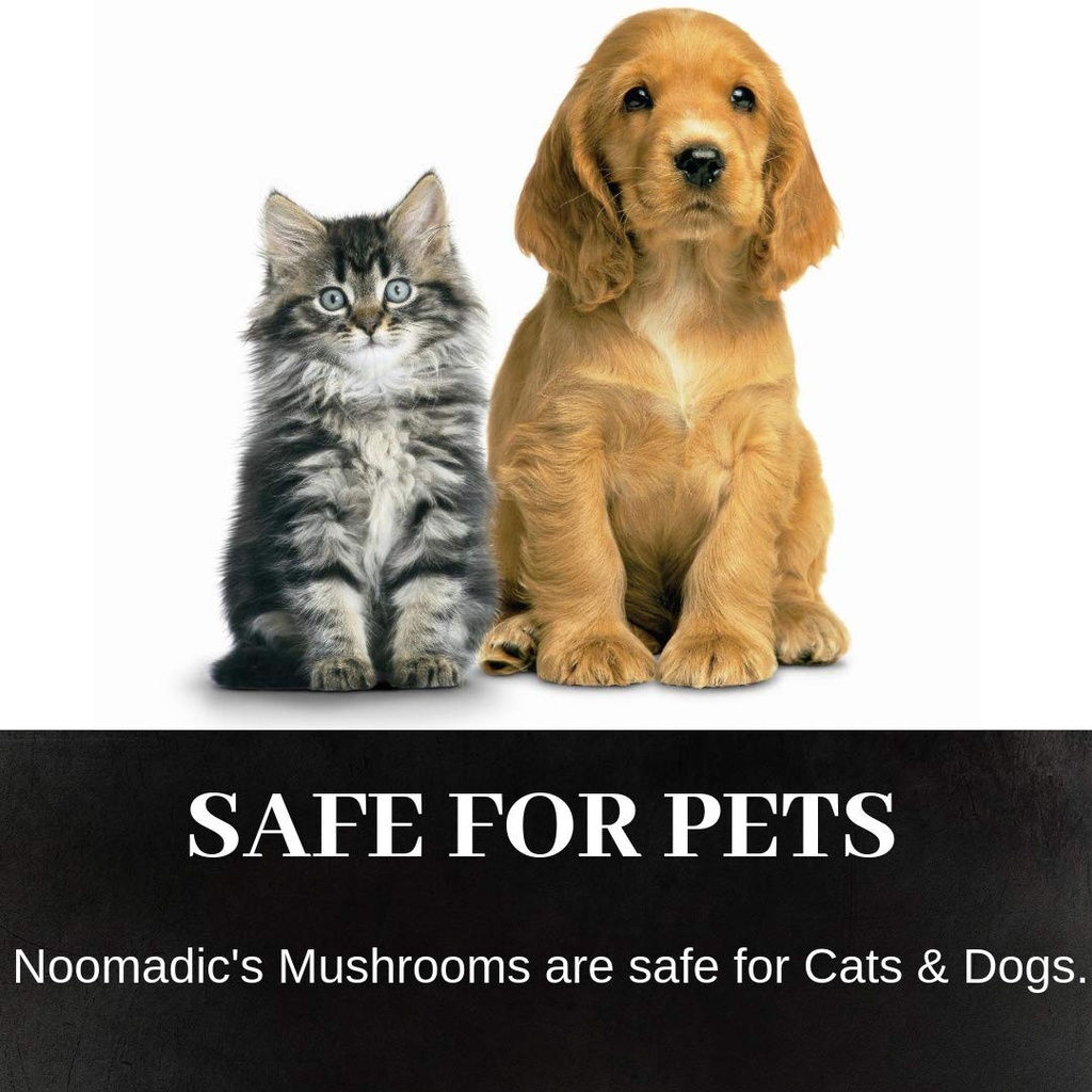 noomadic-mushroom-total-60-capsules-500m-5.jpg