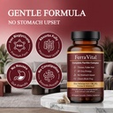 ferravital-ferritin-support-for-women-wi-4.jpg