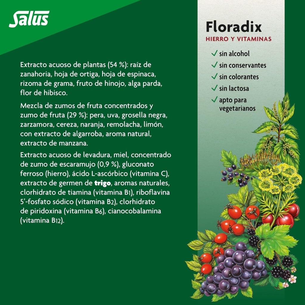 flora-floradix-iron-herbs-natural-liquid-5.jpg