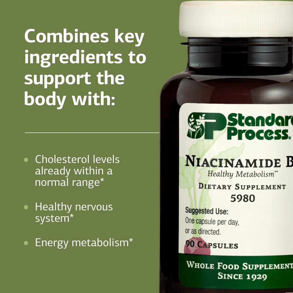 standard-process-niacinamide-b6-supports-4.jpg