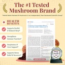 organic-reishi-mushroom-extract-fruiting-5.jpg