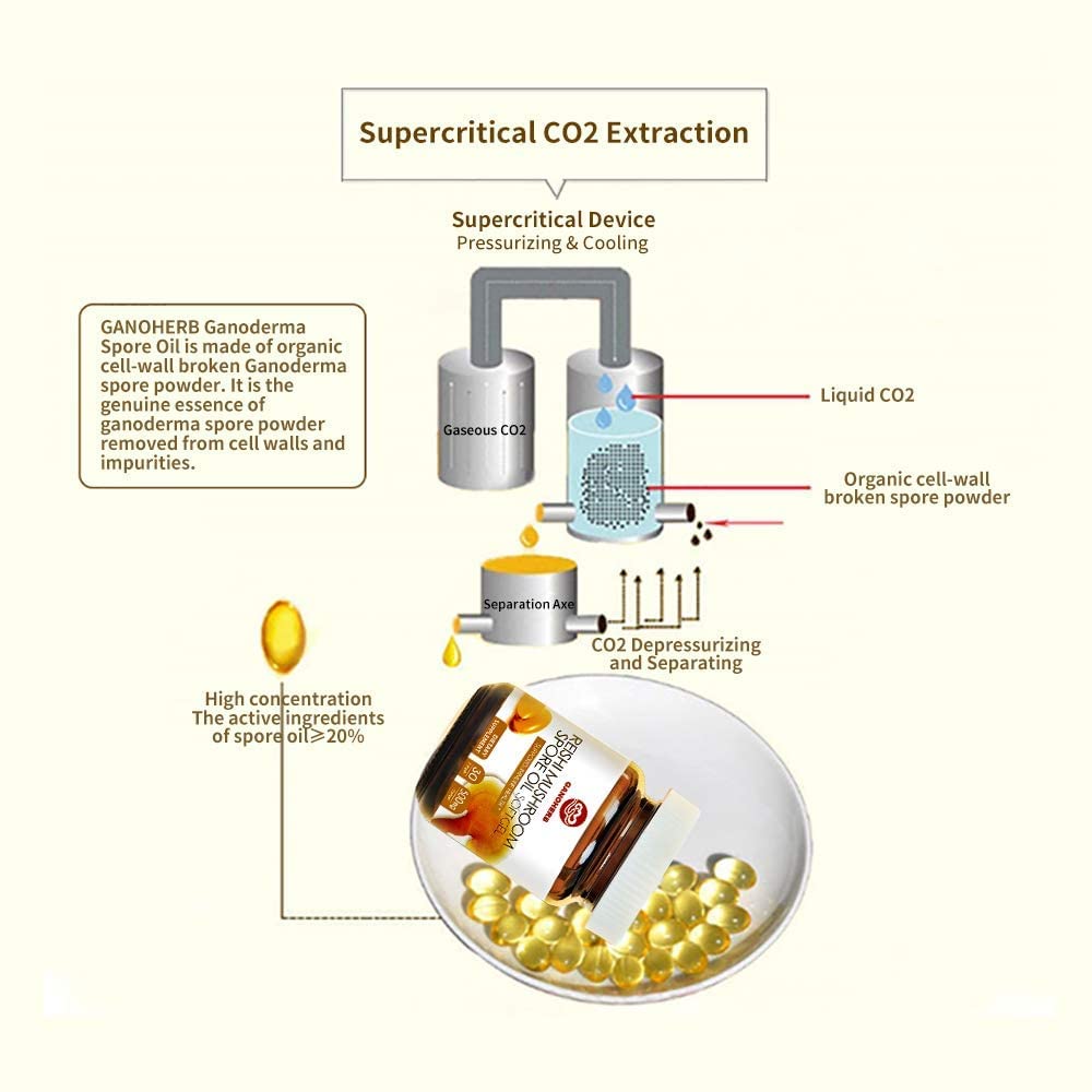 reishi-mushroom-spore-oil-supplement-gan-5.jpg