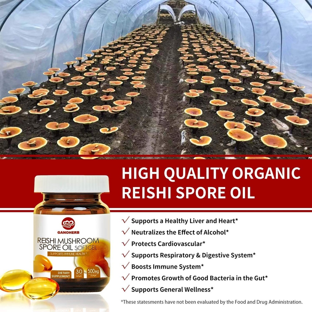 reishi-mushroom-spore-oil-supplement-gan-6.jpg