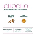 seed-chocho-pure-plant-based-protein-pow-5.jpg