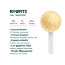 seed-chocho-pure-plant-based-protein-pow-2.jpg