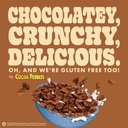 pure-protein-cocoa-pebbles-protein-bars--5.jpg