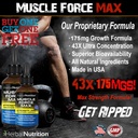 muscle-force-strength-and-endurance-spra-2.jpg