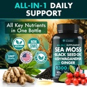 secret-element-irish-sea-moss-black-seed-2.jpg