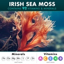 secret-element-irish-sea-moss-black-seed-3.jpg