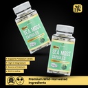 herb-to-body-organic-sea-moss-capsules-6-4.jpg