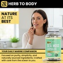 herb-to-body-organic-sea-moss-capsules-6-3.jpg