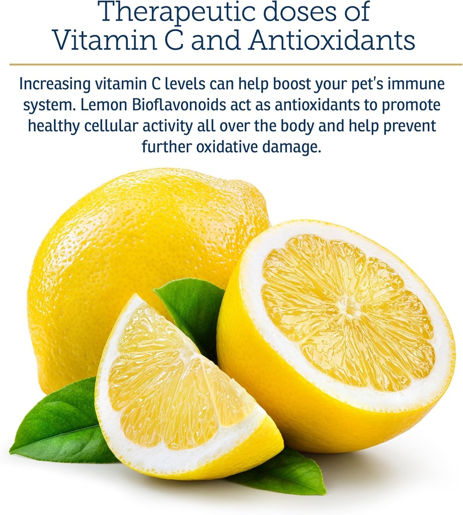 rx-vitamins-bio-c---vitamin-c-for-dogs-a-4.jpg