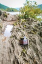 pure-authentic-shilajit-siberian-mumijo--4.jpg