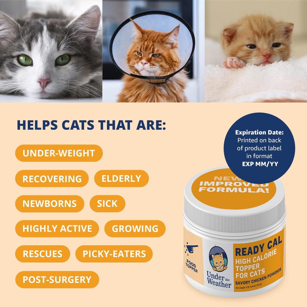 under-the-weather-ready-cal-powder-for-c-4.jpg