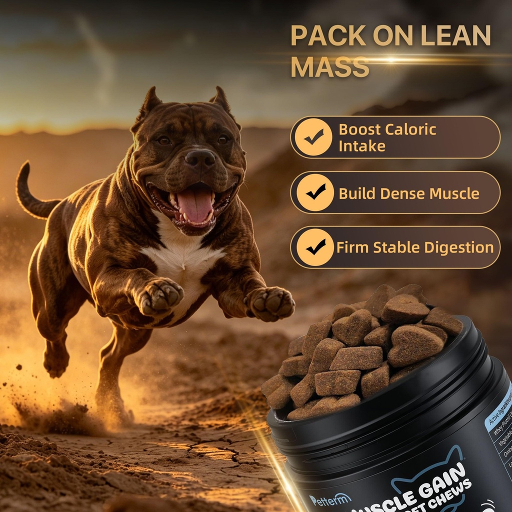 dog-weight-gainer-muscle-builder-high-ca-5.jpg