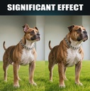 dog-muscle-gain-power-chews-canine-weigh-5.jpg