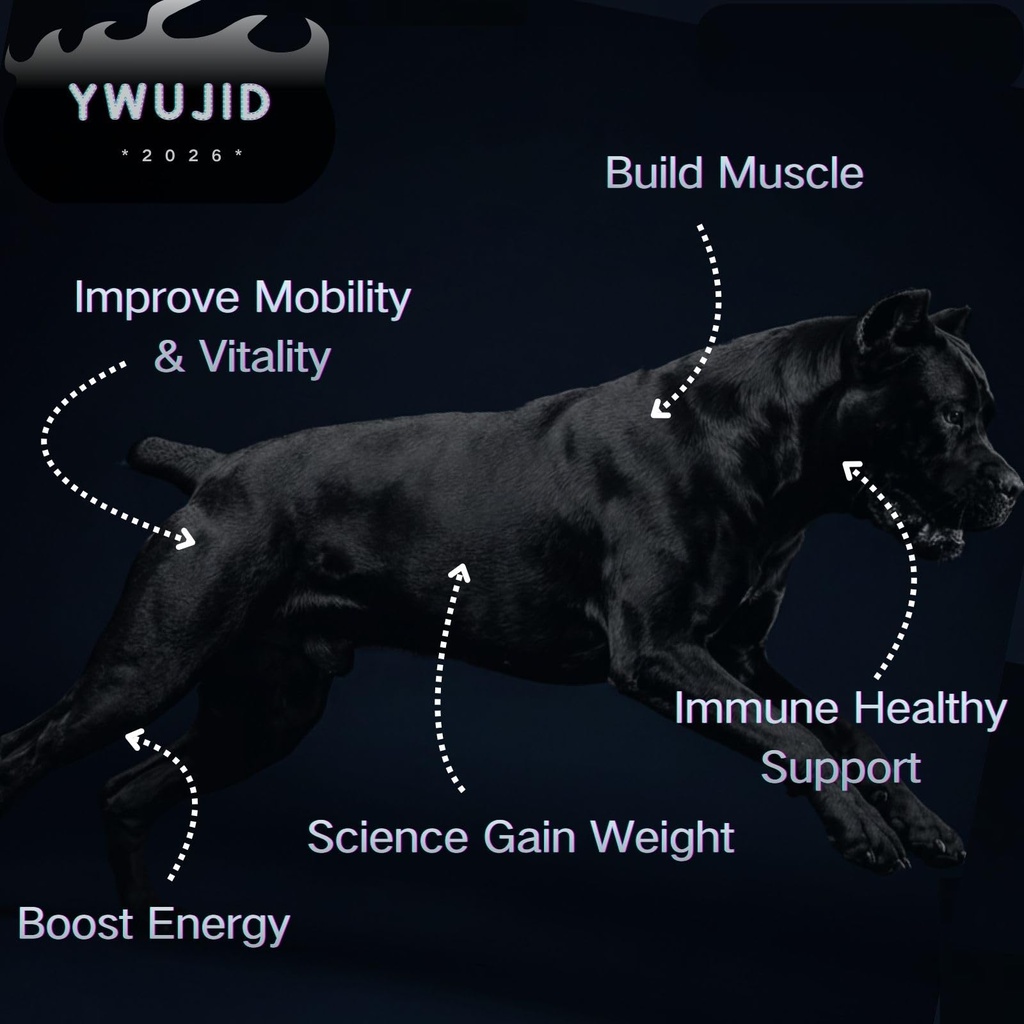 muscle-gain-chews-dog-weight-gainer-supp-4.jpg