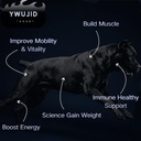 muscle-gain-chews-dog-weight-gainer-supp-4.jpg