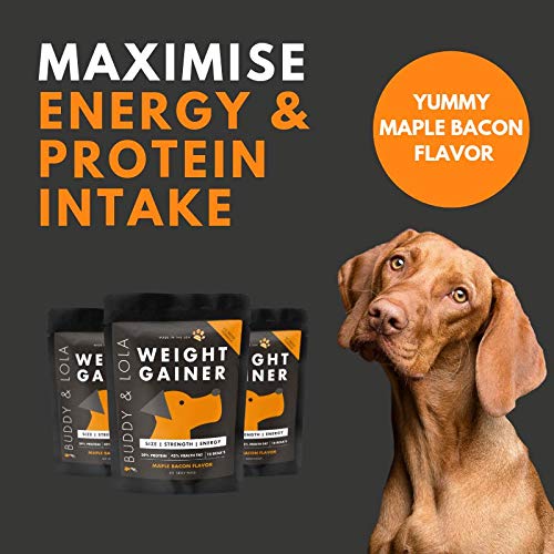 buddy-lola-dog-weight-gainer-dog-supplem-4.jpg