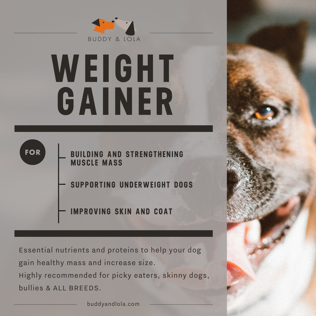 buddy-lola-dog-weight-gainer-dog-supplem-3.jpg