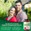 zazzee-usda-organic-pomegranate-20-1-ext-4.jpg