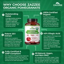zazzee-usda-organic-pomegranate-20-1-ext-6.jpg