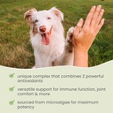 dr-mercola-spirugreen-for-cats-dogs-anti-4.jpg